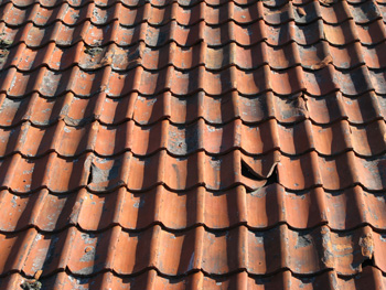 image of damage to a clay roof